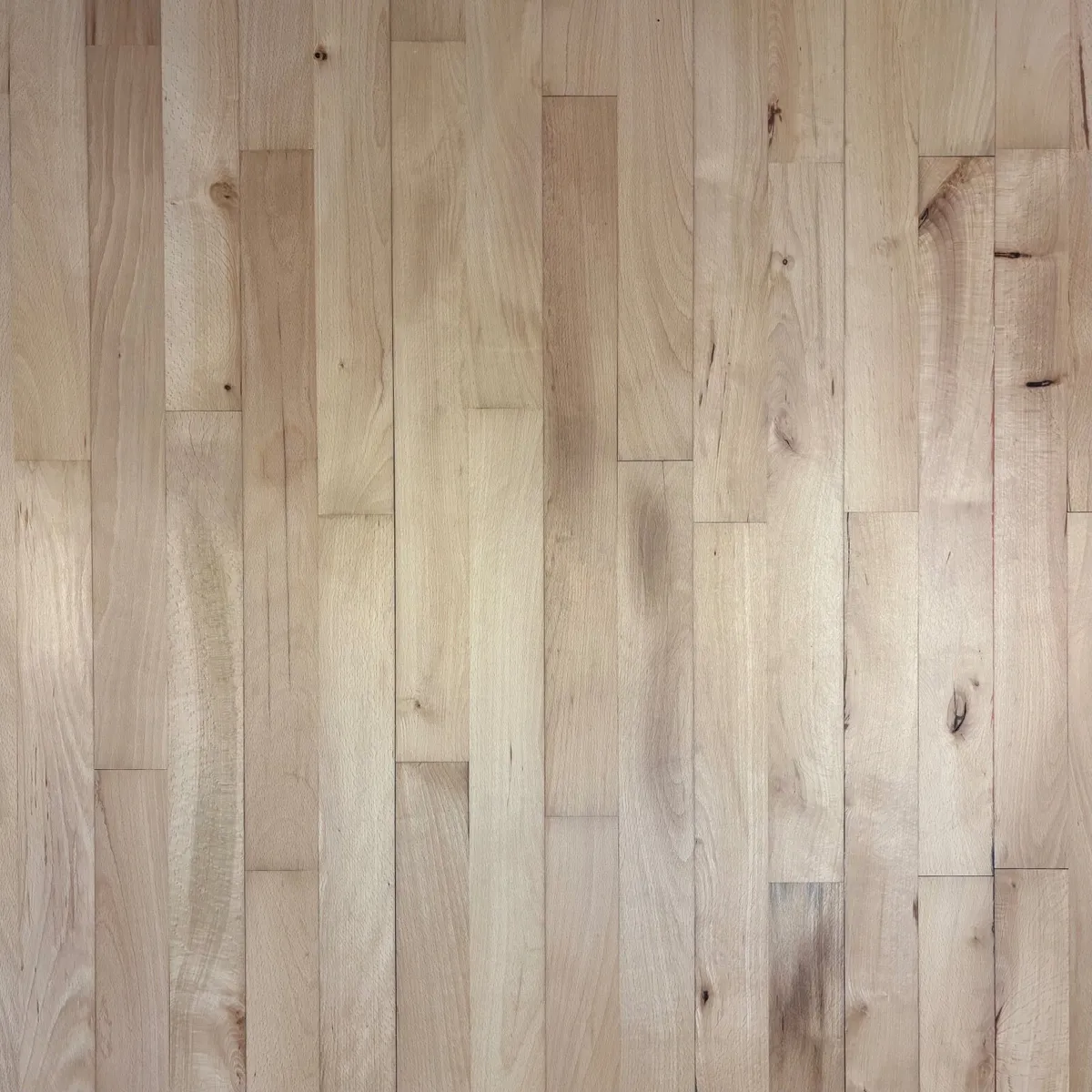 Beech Gym Flooring - Image 4