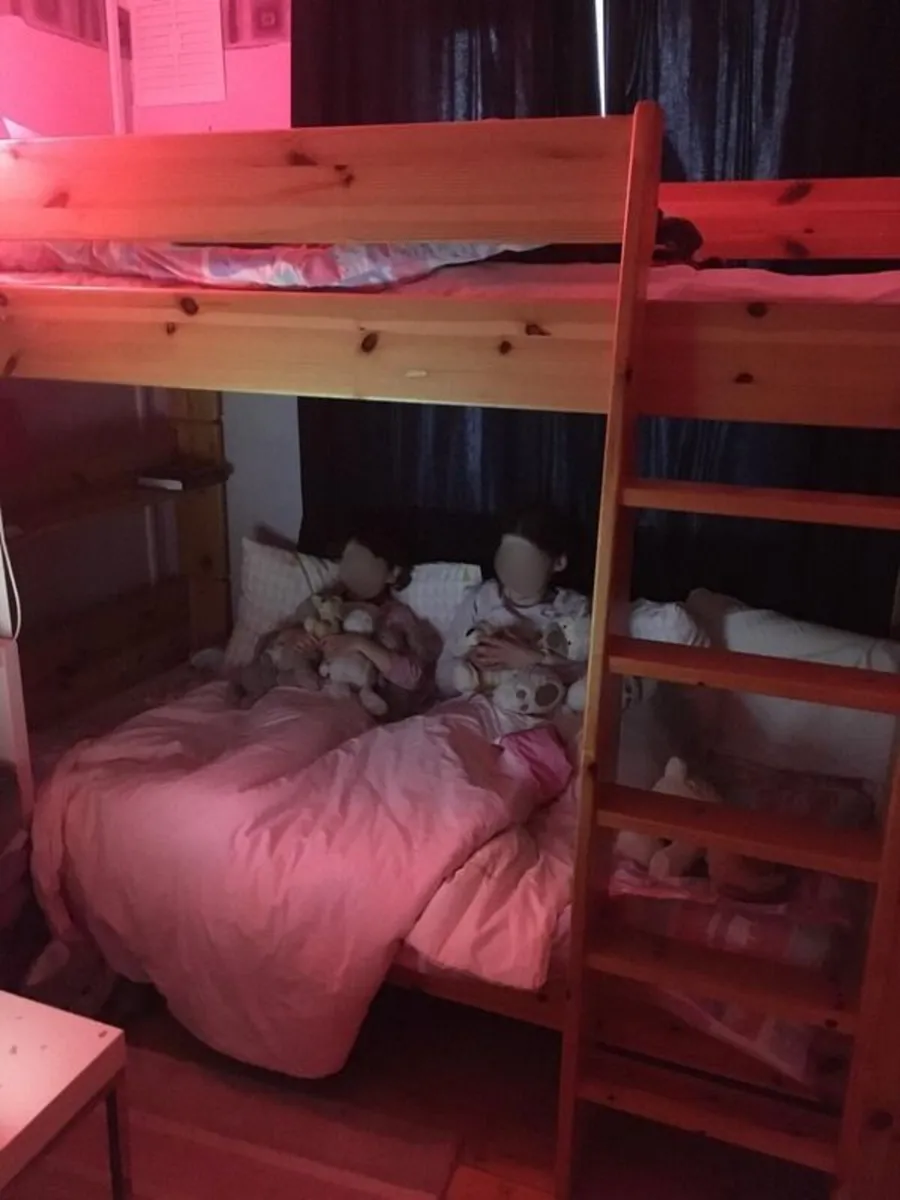 Solier Timber Bunk Bed - Image 3