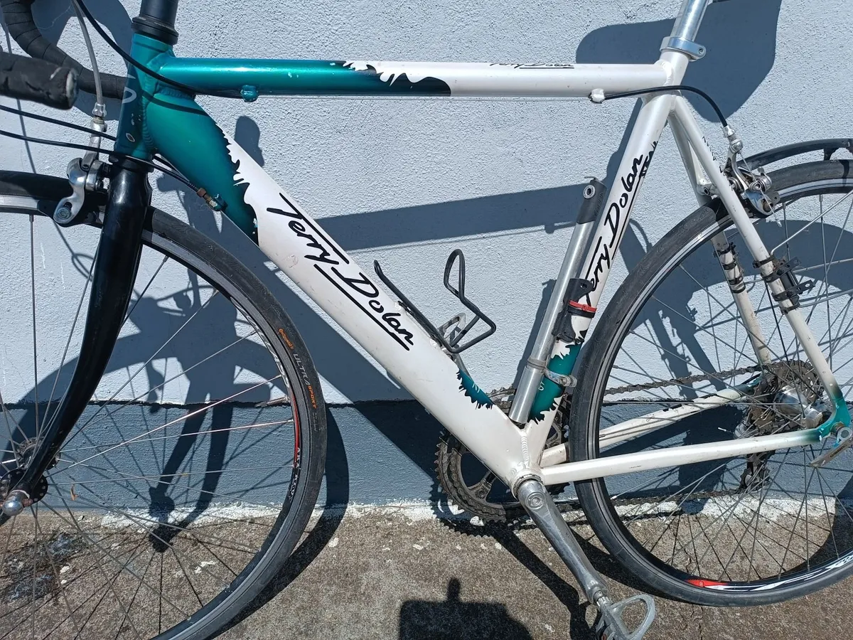 Terry Dolan Bike - Image 2
