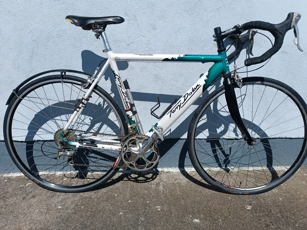 Terry Dolan Bike - Image 3
