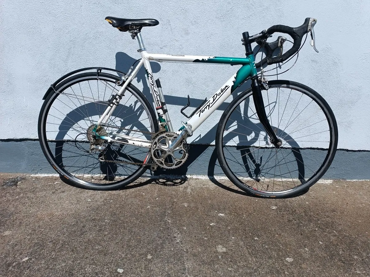 Terry Dolan Bike - Image 4