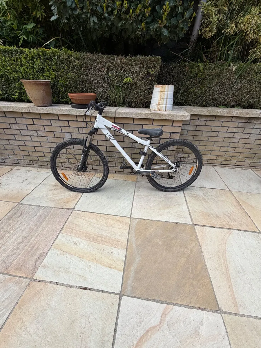 Bicycle x 2 Mongoose - Image 1