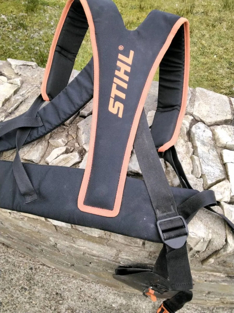 Harness - Image 1