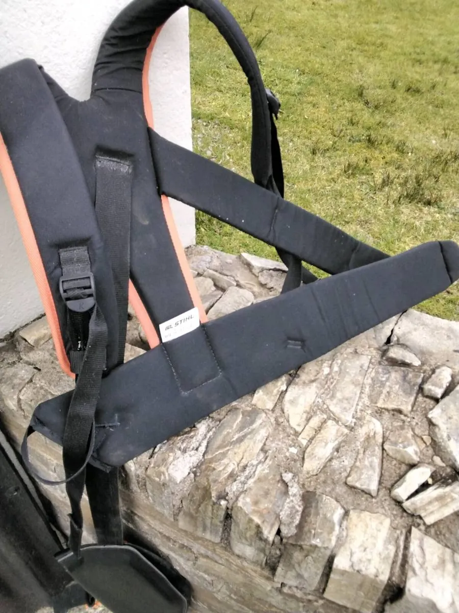 Harness - Image 2