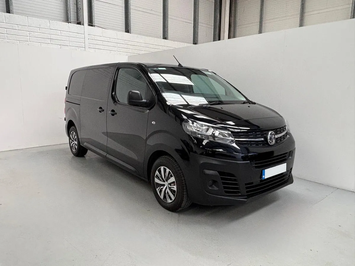 Vivaro 2900 L1 H1 Twin Door - Image 1