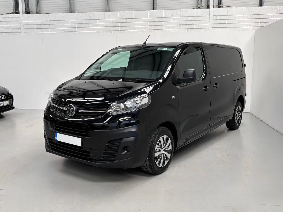 Vivaro 2900 L1 H1 Twin Door - Image 3