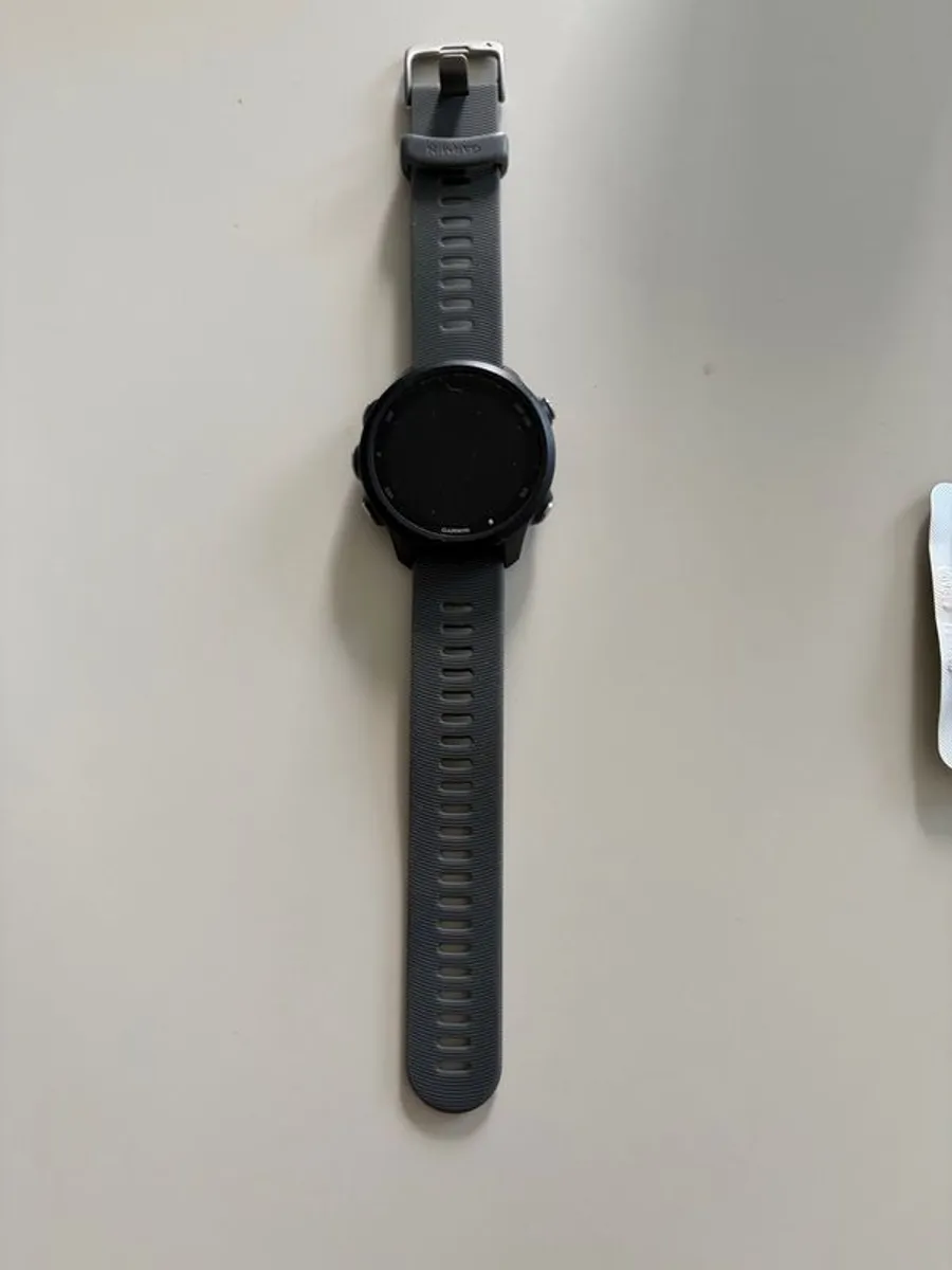 Garmin Forerunner 245 - Image 2