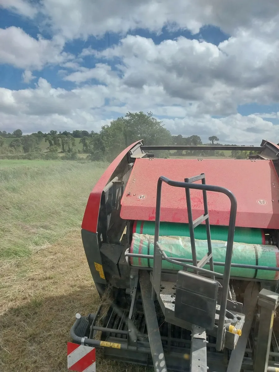 Silage - Image 4