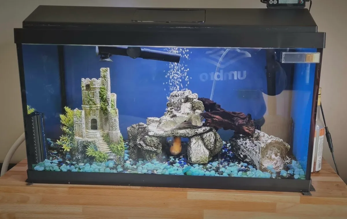 Aqua Dreams 60 | fish tank - Image 1