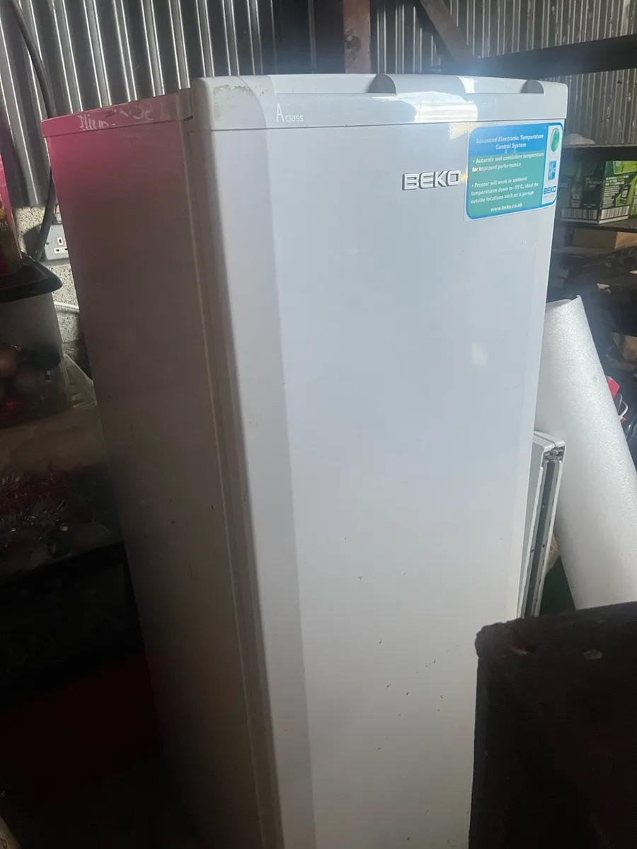 FREEZER/FRIDGE FREEZER - Image 4