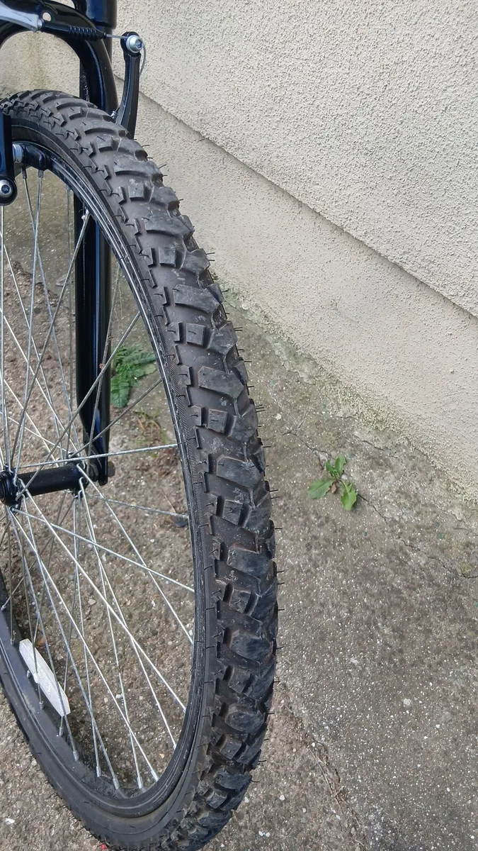 Girls mountain bike - Image 4