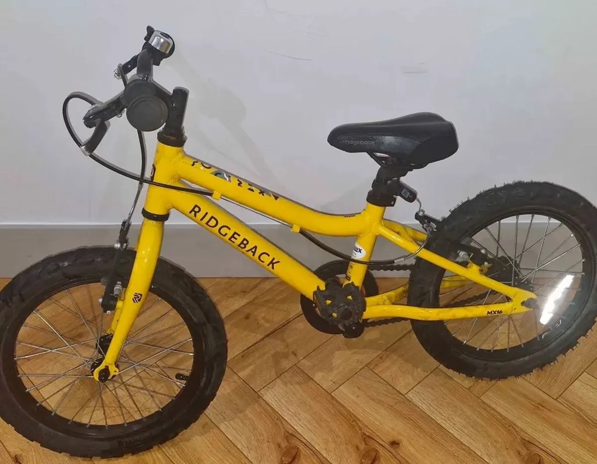 Kids Ridgeback Bicycle - Image 2