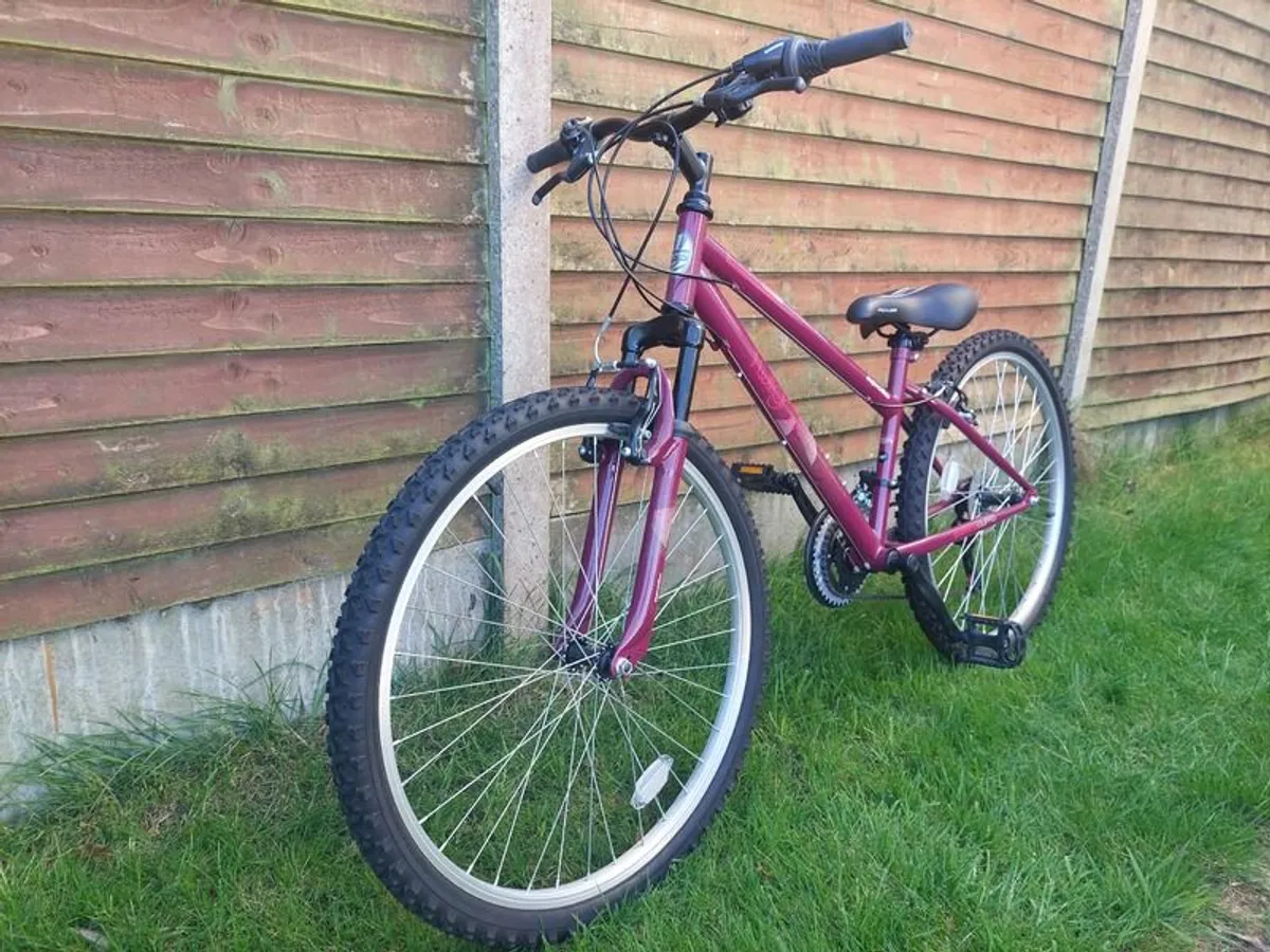 Apollo Twilight Mountain Bike - 14" S Frame - Image 1