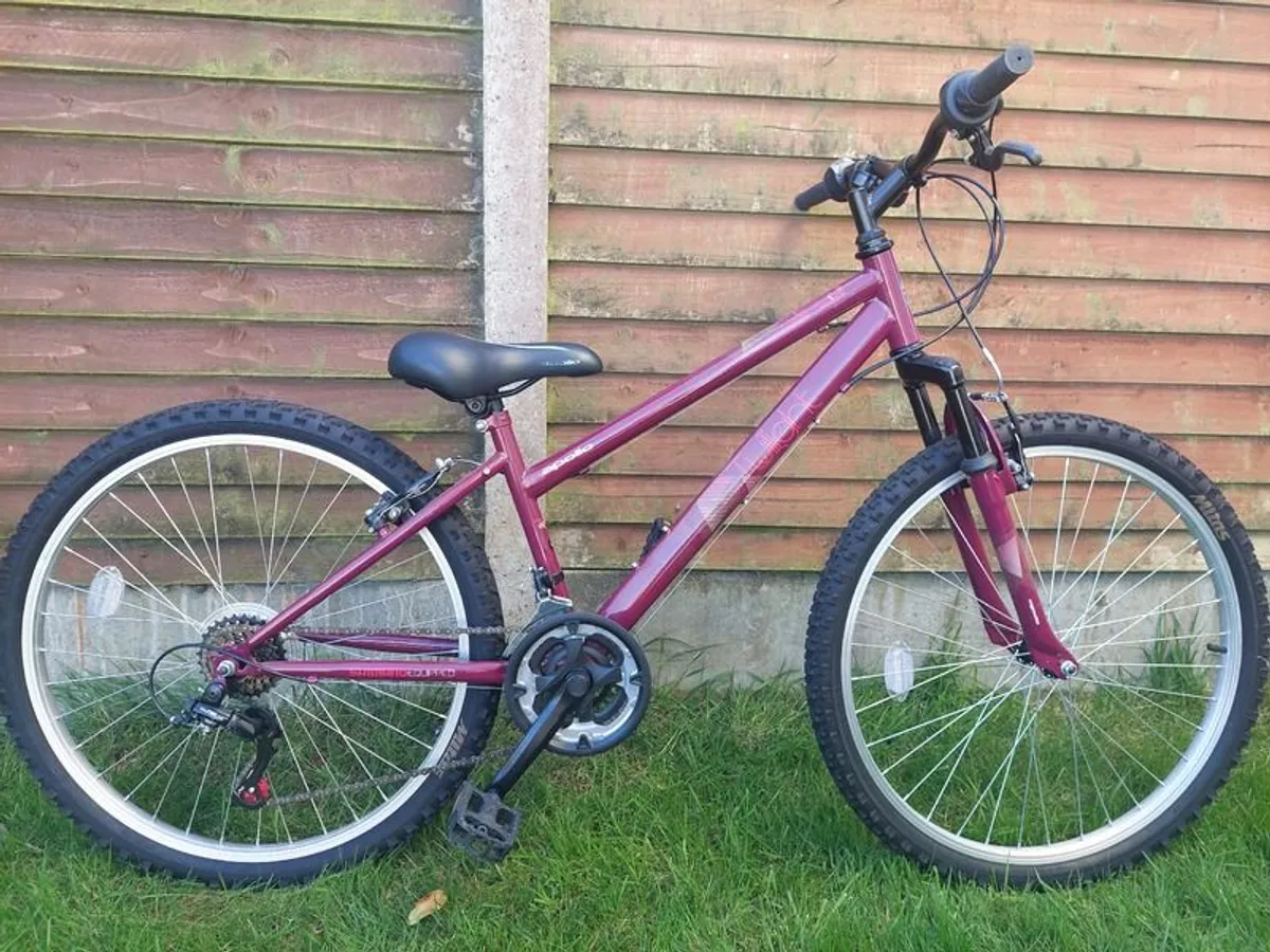 Apollo Twilight Mountain Bike - 14" S Frame - Image 3