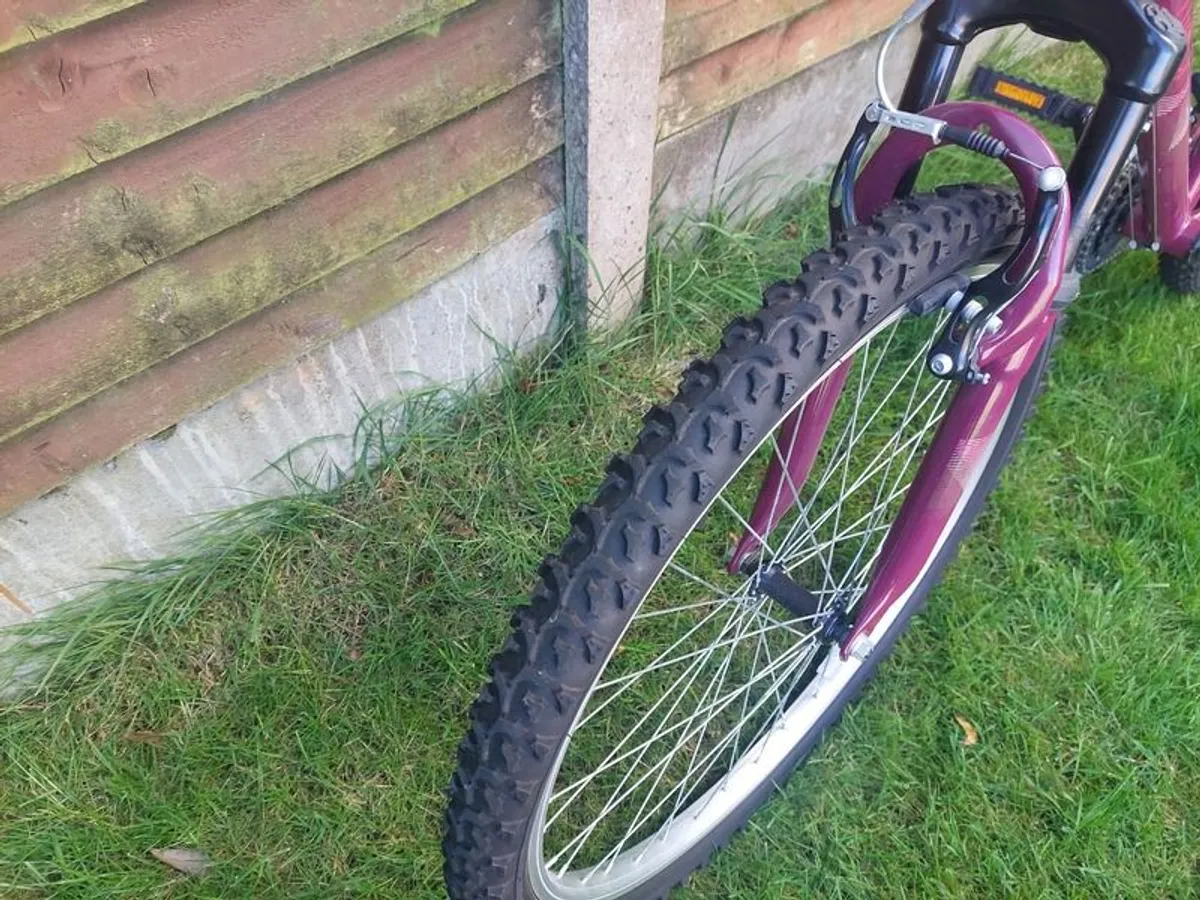 Apollo Twilight Mountain Bike - 14" S Frame - Image 4