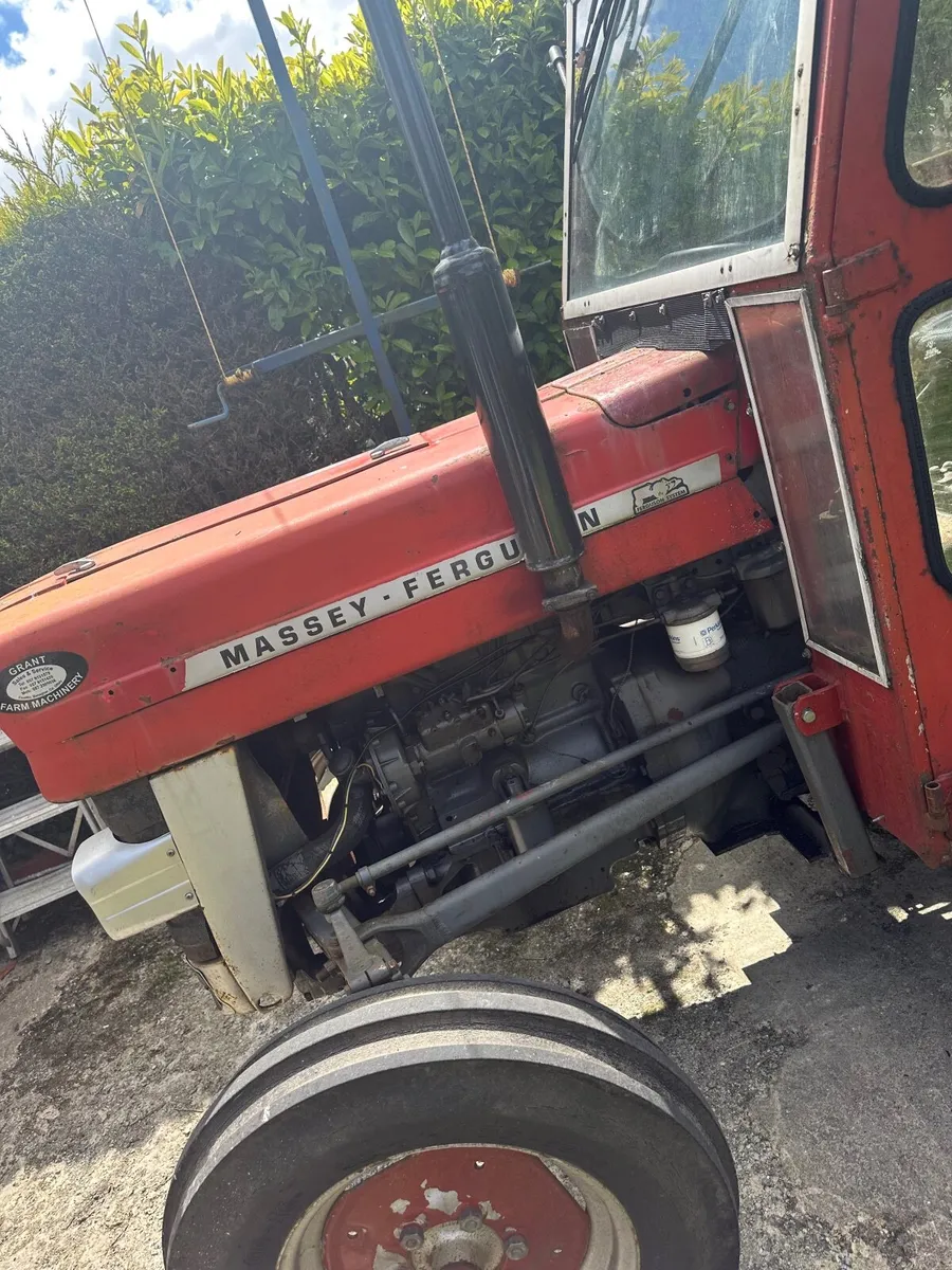 Massey Ferguson Other 1981 - Image 2