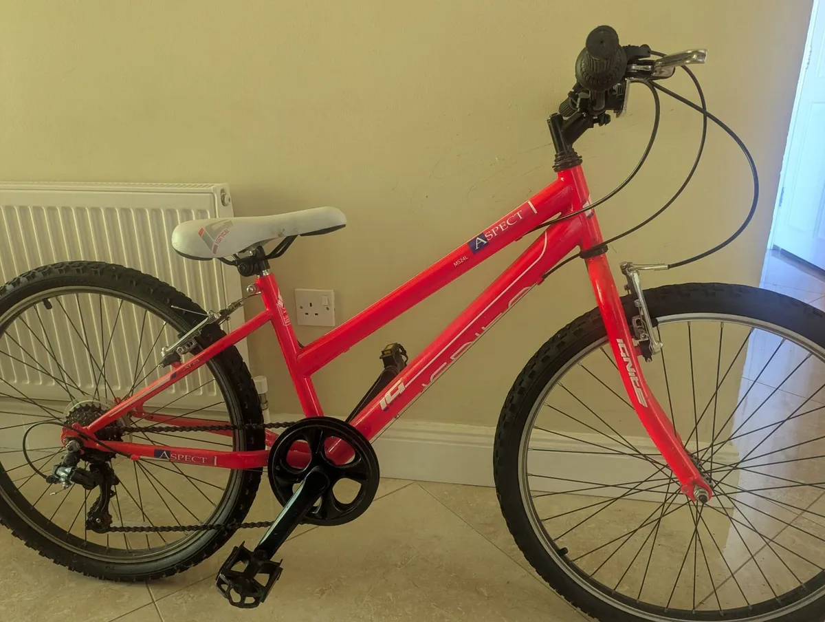 Girls Mountain Bike - Image 1