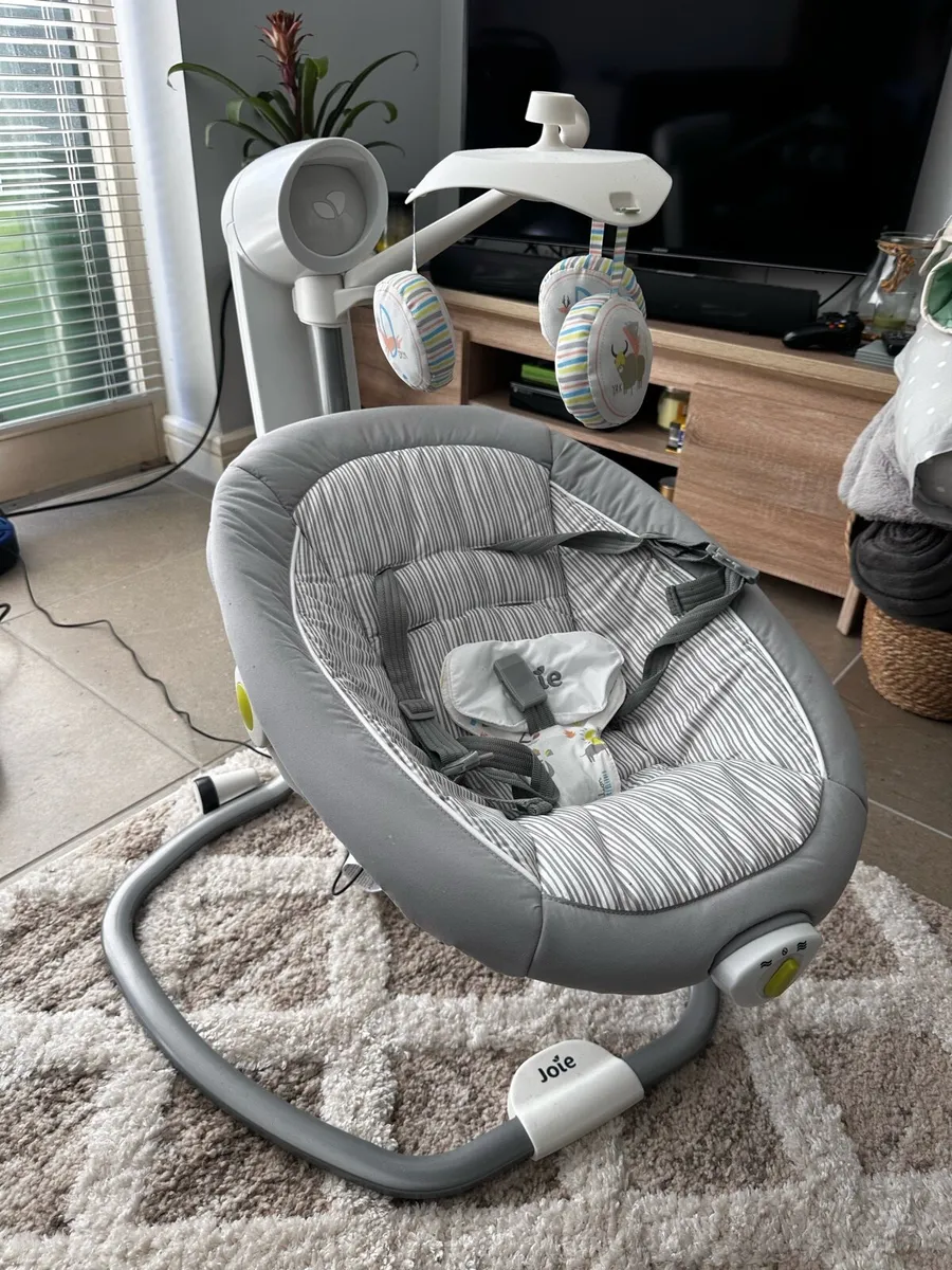Joie swing from smoke and pet free home - Image 1