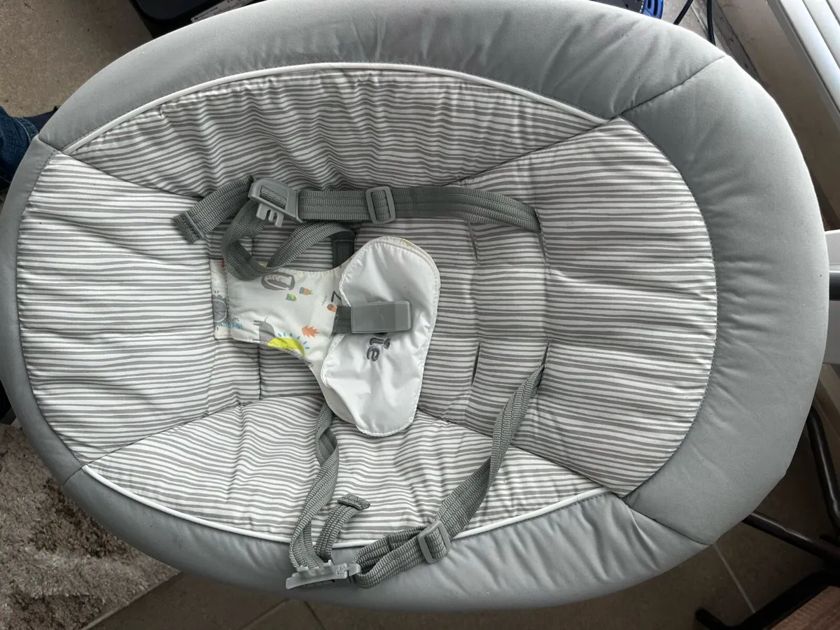 Joie swing from smoke and pet free home - Image 2