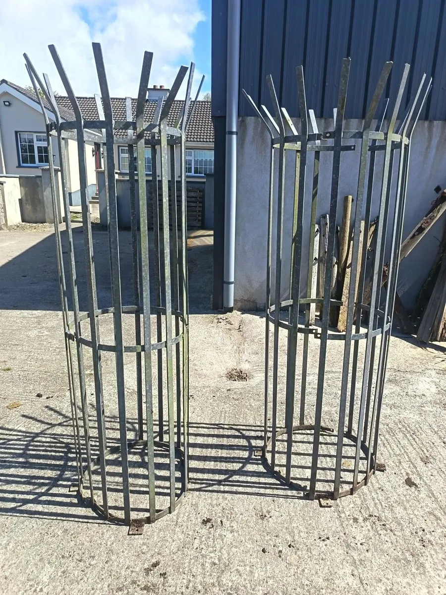 Galvanised steel tree guards - Image 3