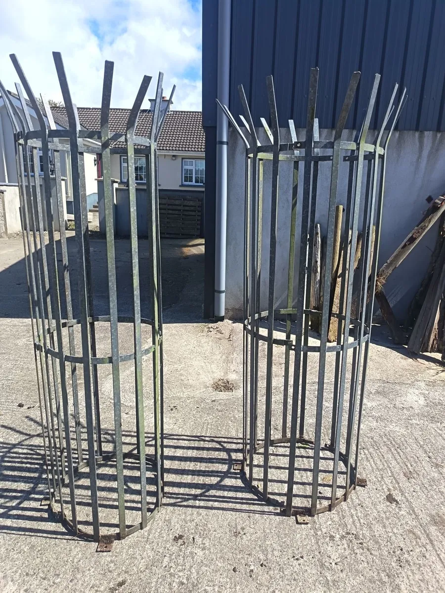 Galvanised steel tree guards - Image 4