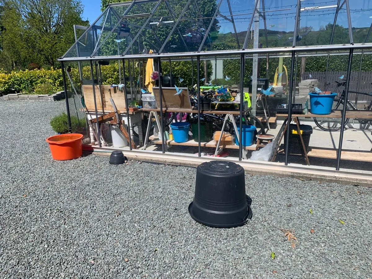 Large glass house / greenhouse - Image 2