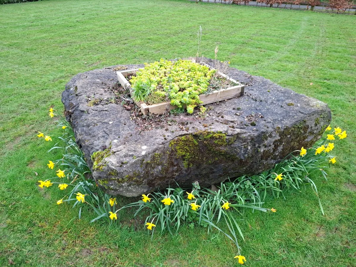 Garden Rock - Image 1