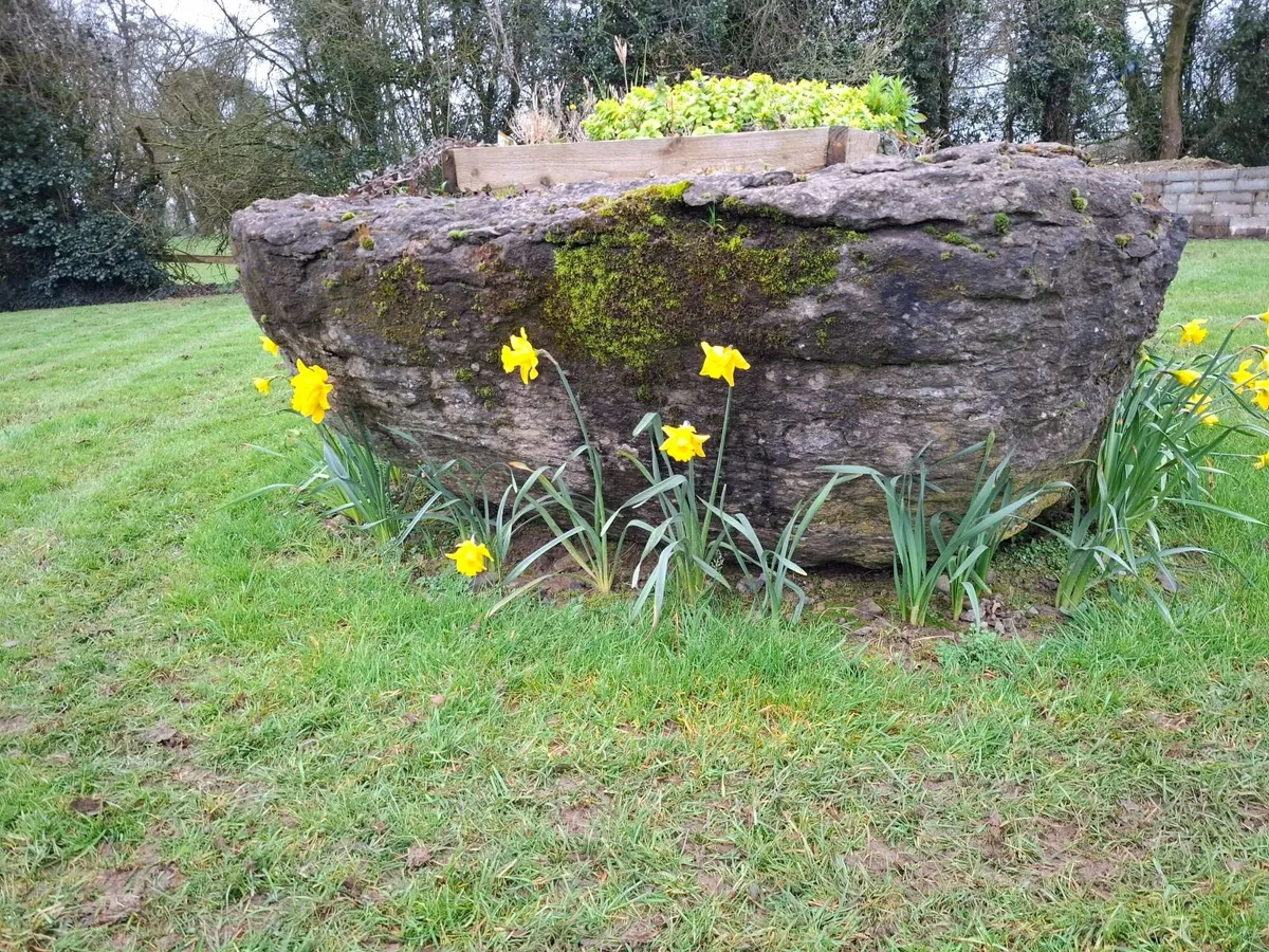 Garden Rock - Image 2
