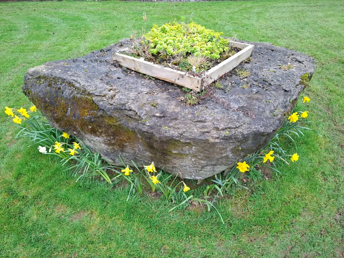 Garden Rock - Image 4