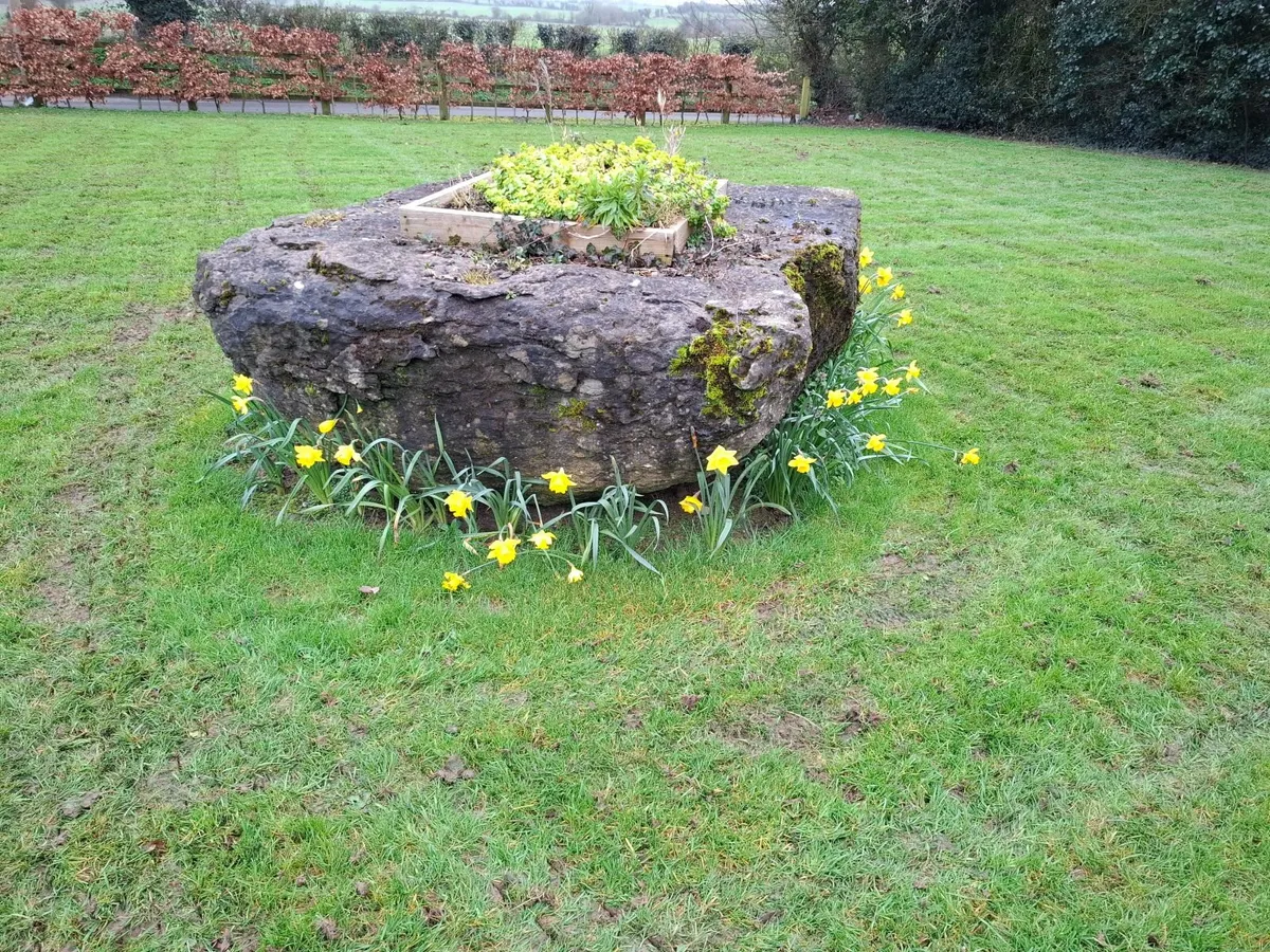Garden Rock - Image 3