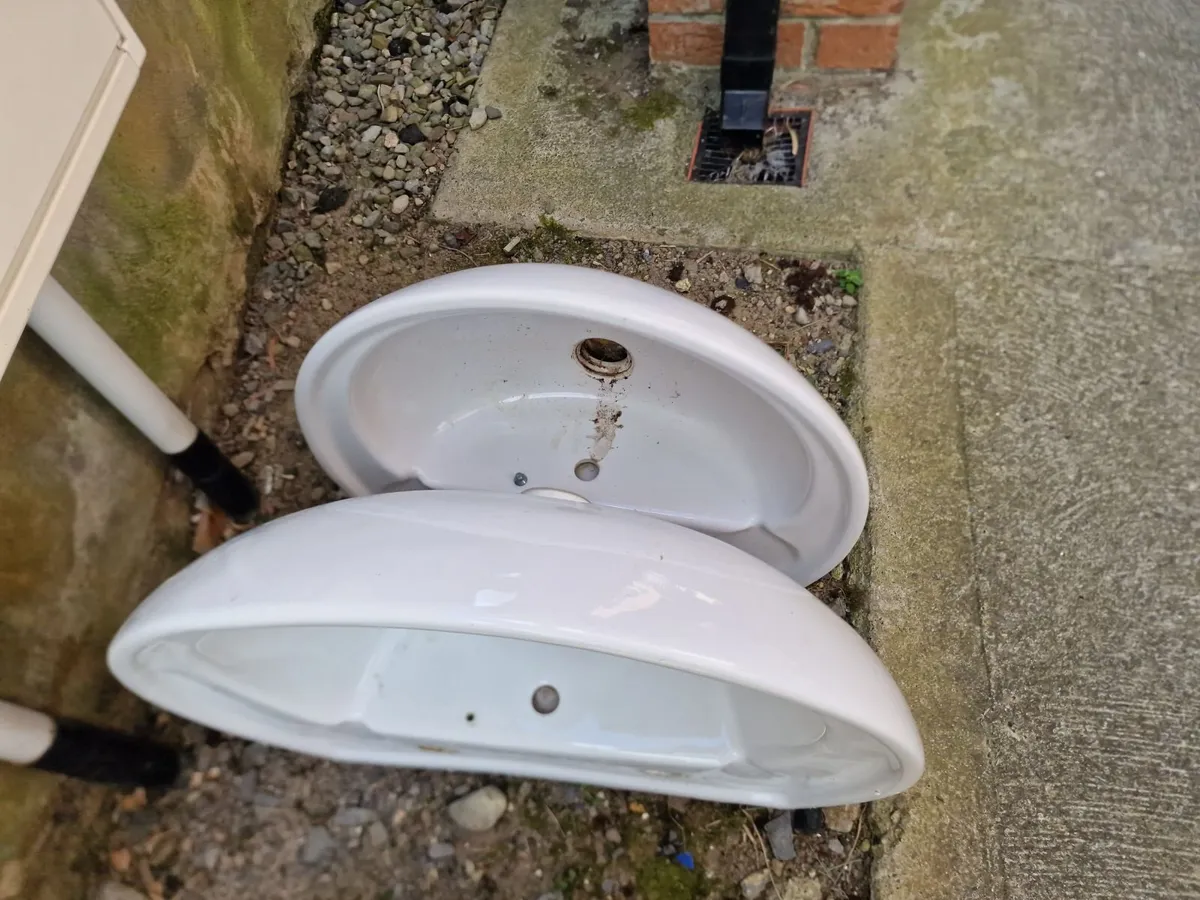 basin x 2 Free - Image 2
