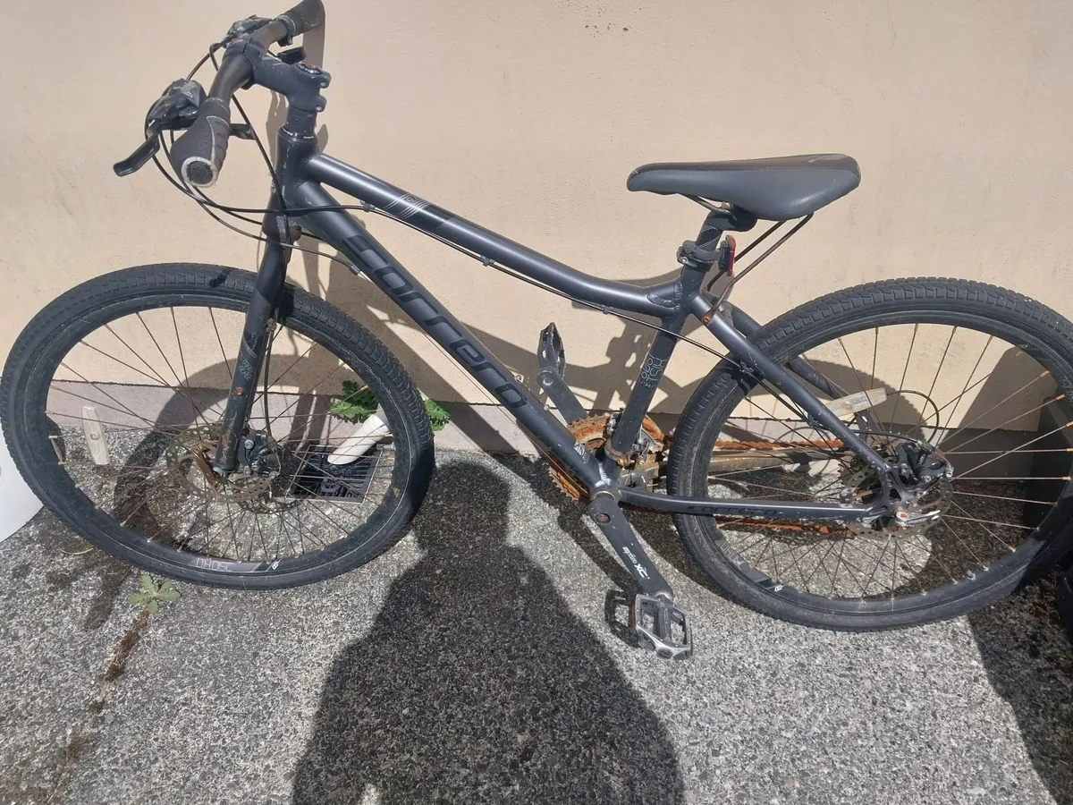 Carrera Hybrid Bike - Image 1