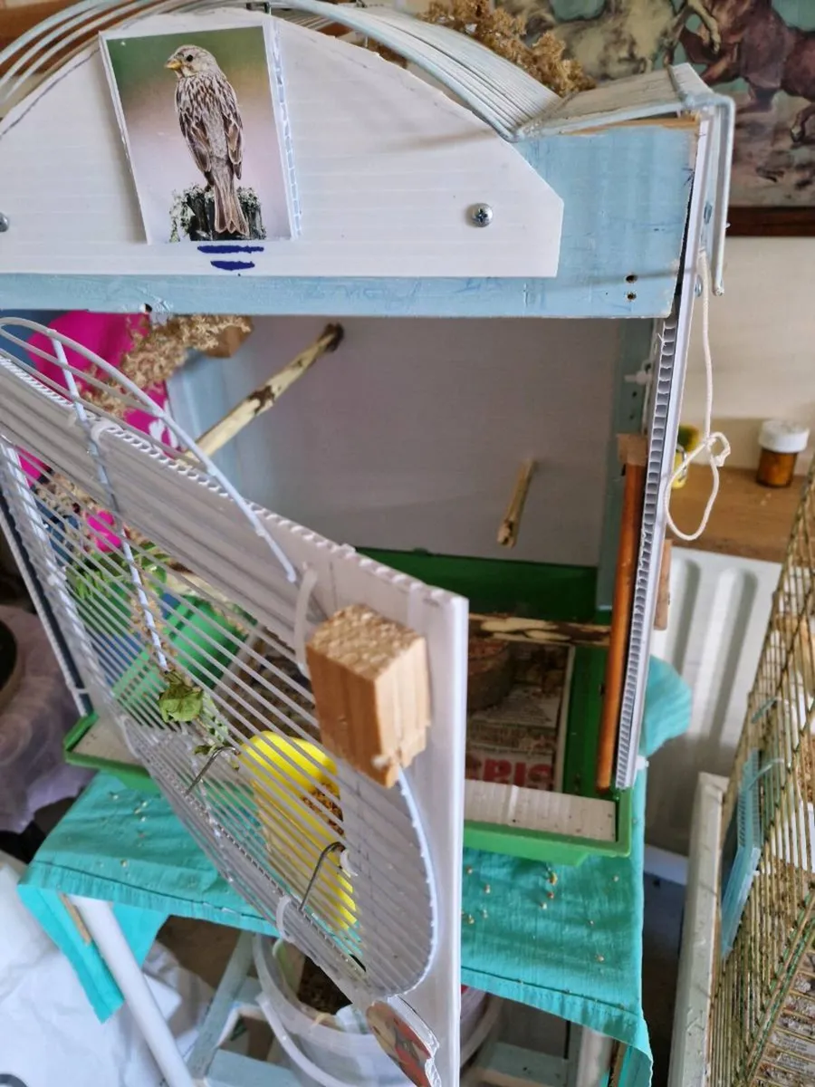 Bird .cage. - Image 4