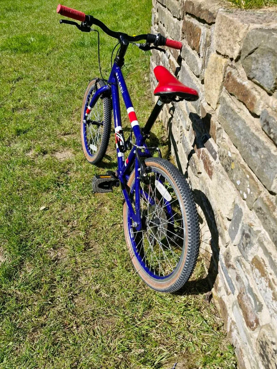 Raleigh Pop 6 gear Kid's Bike - Image 4