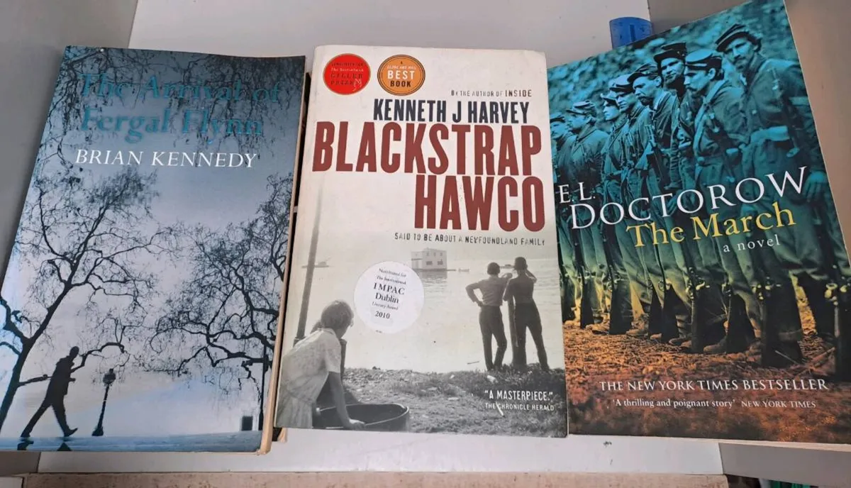 Literary Fiction Crime Thriller Book Bundle - Image 4