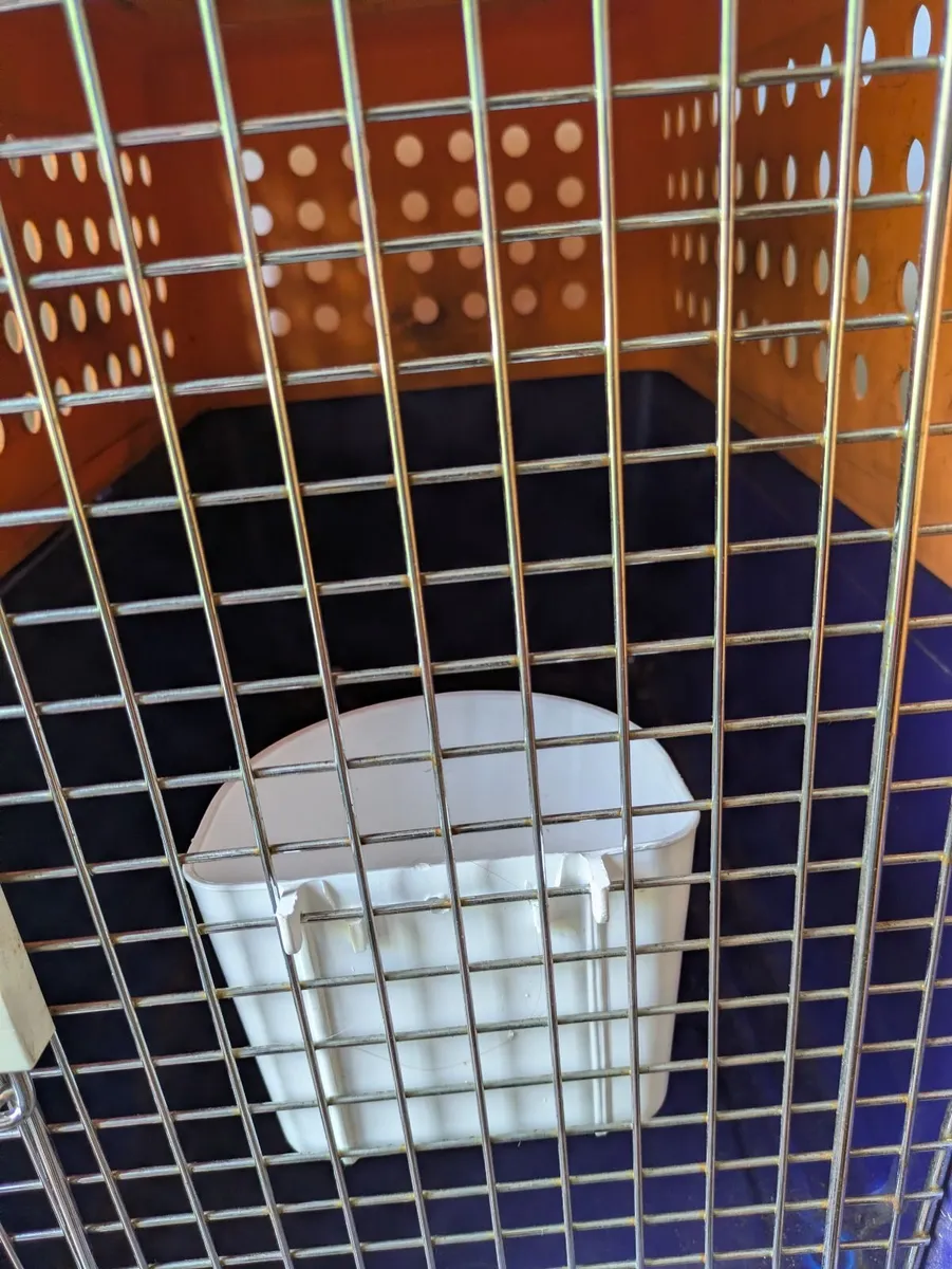 Travel Dog box, Cat box and Outdoor Kennel - Image 2
