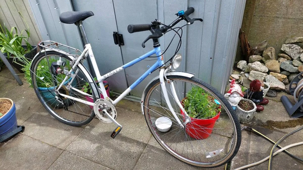 Raleigh Pioneer Ladies Bike - Image 1