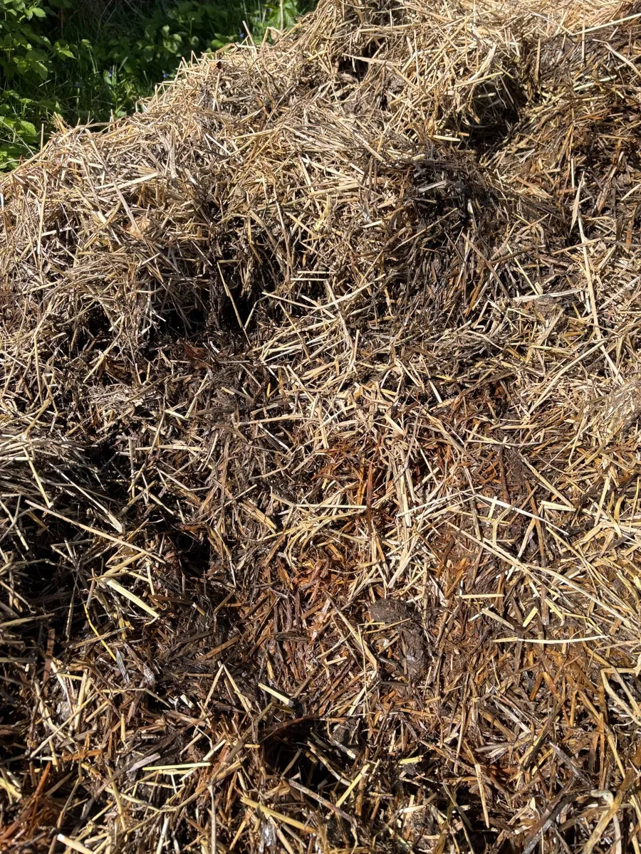 Composted Horse Manure - Image 2