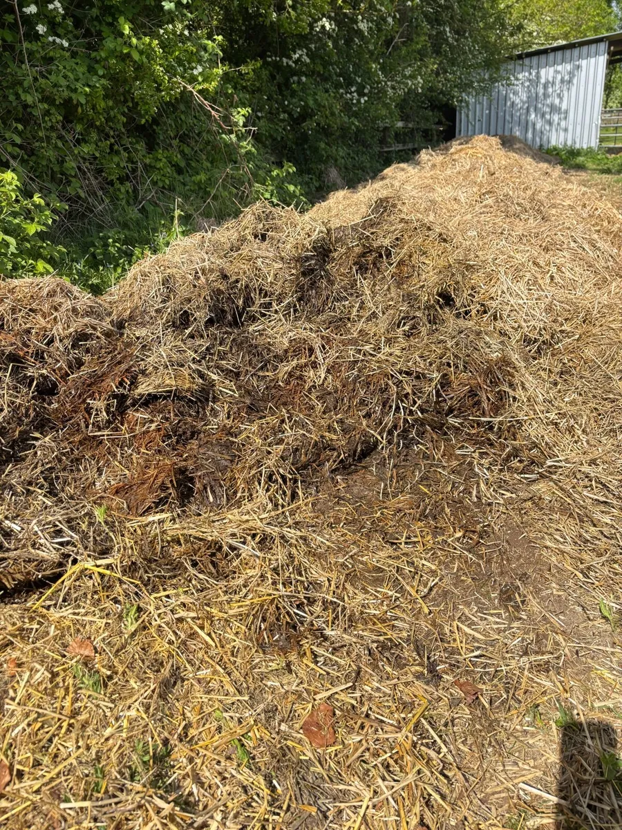 Composted Horse Manure - Image 3