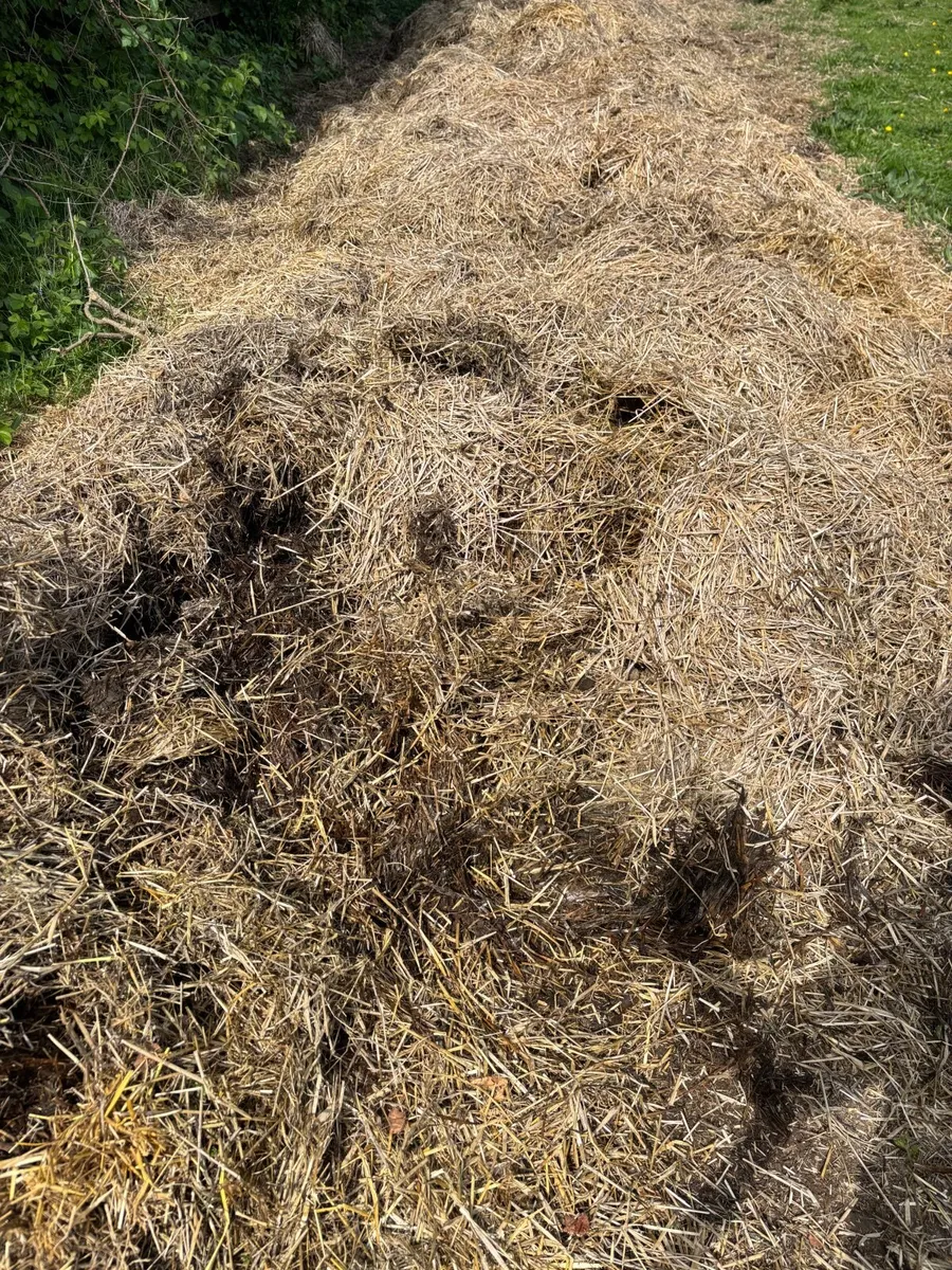 Composted Horse Manure - Image 4