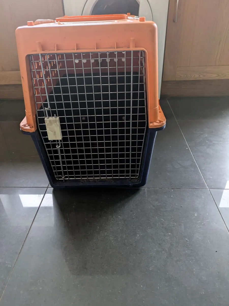 Travel Dog box, Cat box and Outdoor Kennel - Image 1