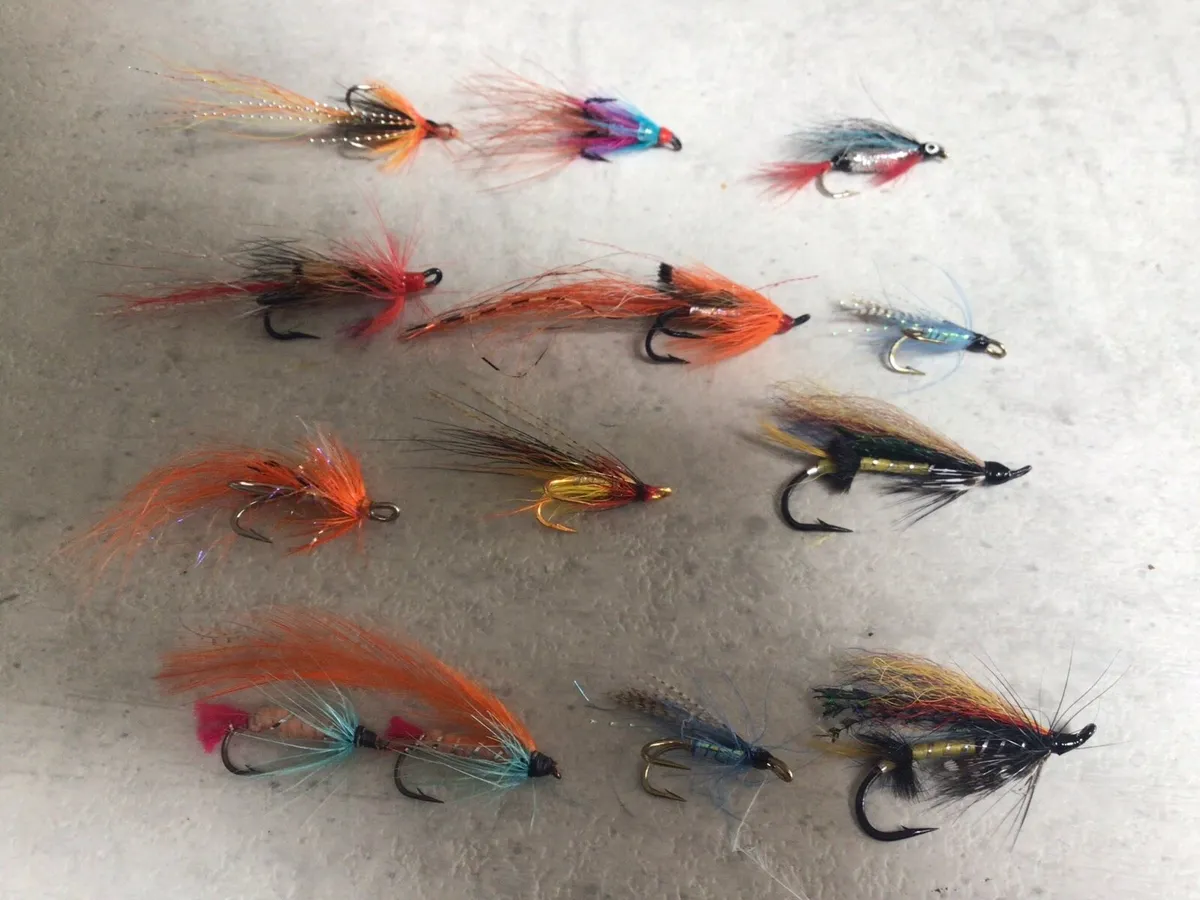 Salmon Flies - Image 3