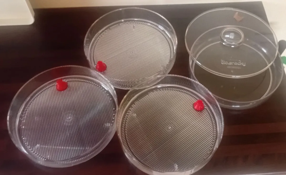3 tiered biosnaky sprouting kit - Image 3