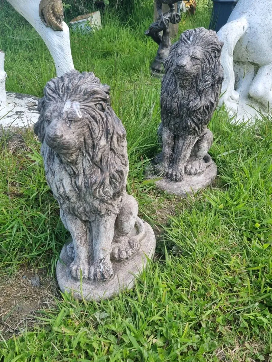 Garden items DM FOR PRICES - Image 4