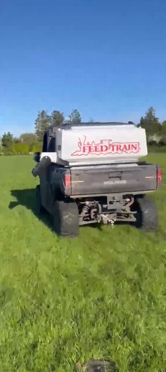 Feedtrain meal feeder - Image 2