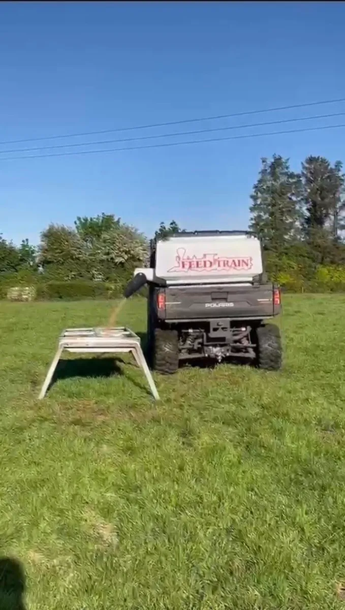 Feedtrain meal feeder - Image 3