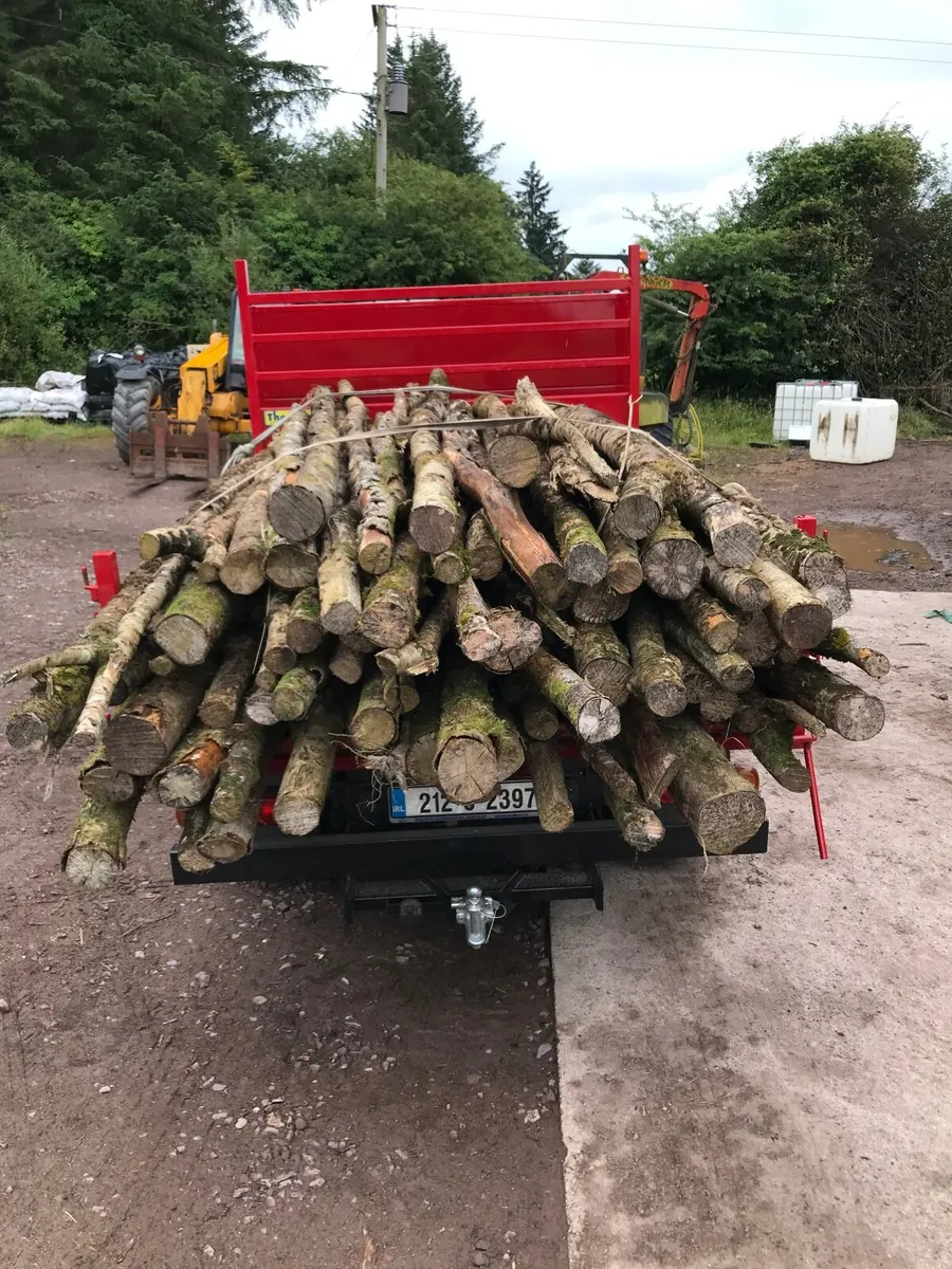 Firewood logs - Image 4