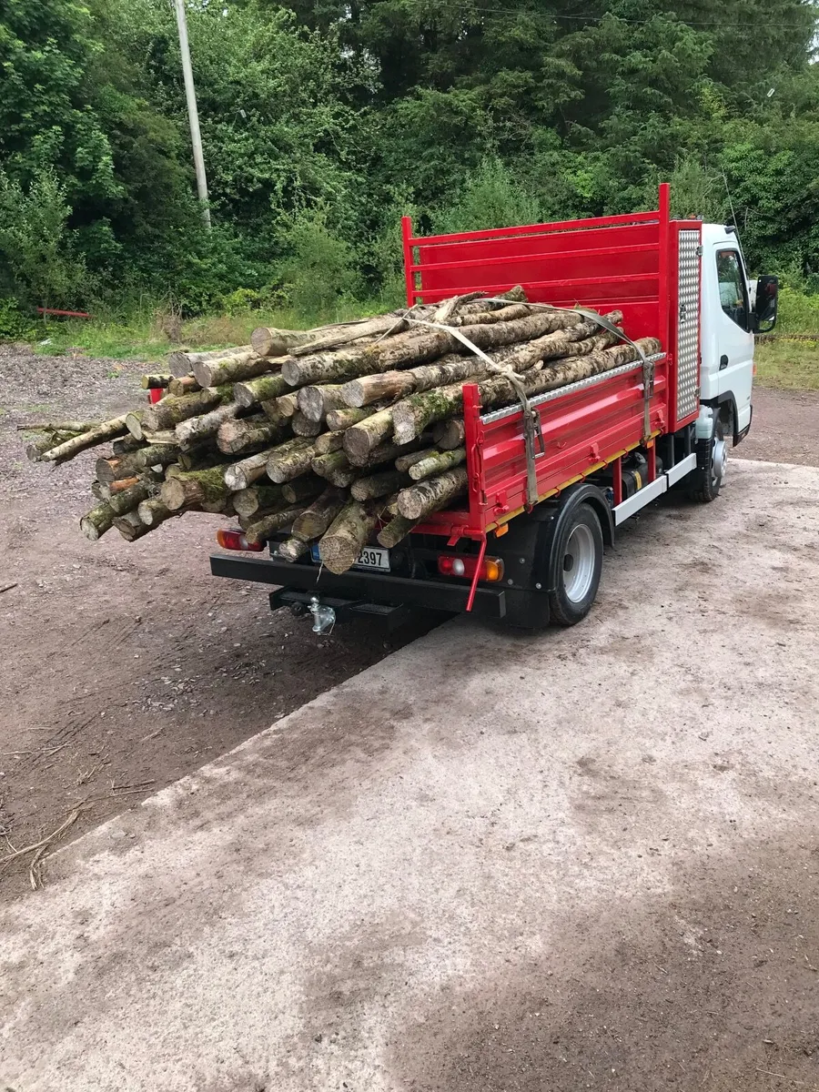 Firewood logs - Image 2