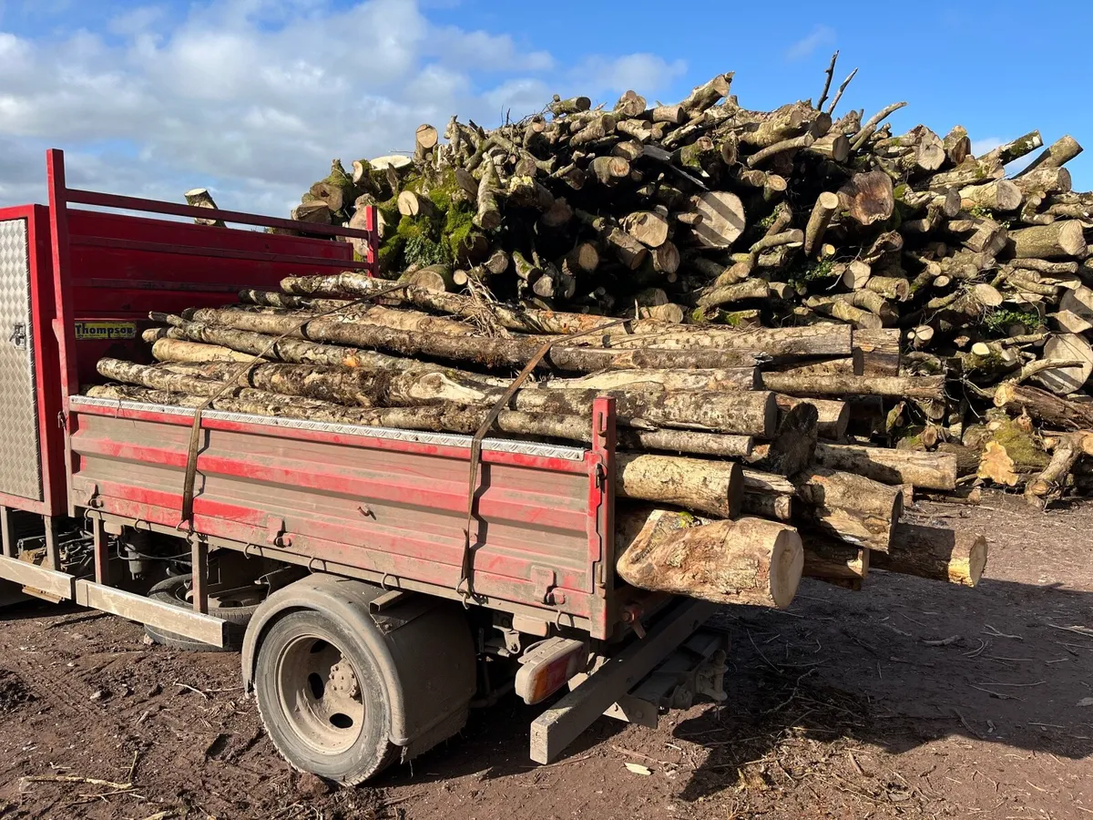 Firewood logs - Image 4
