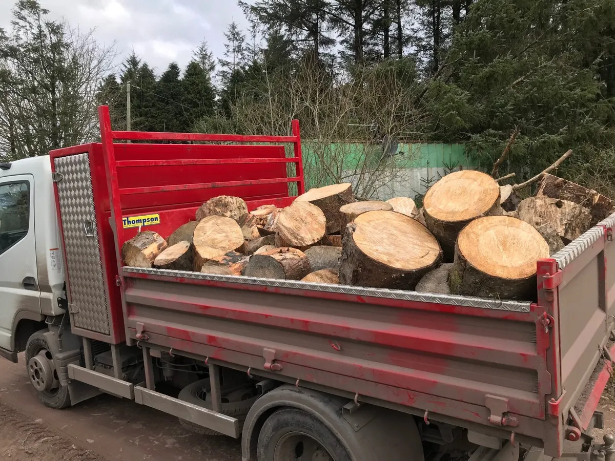 Firewood logs - Image 3